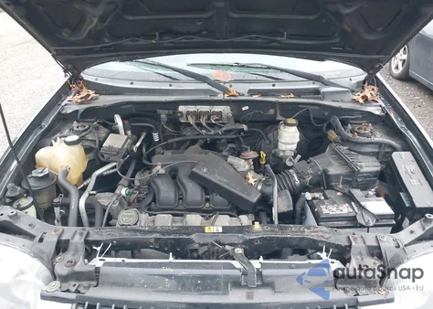 2007 Ford Escape Xlt/Xlt Sport из США, поврежденный, VIN 1FMCU93197KB18438